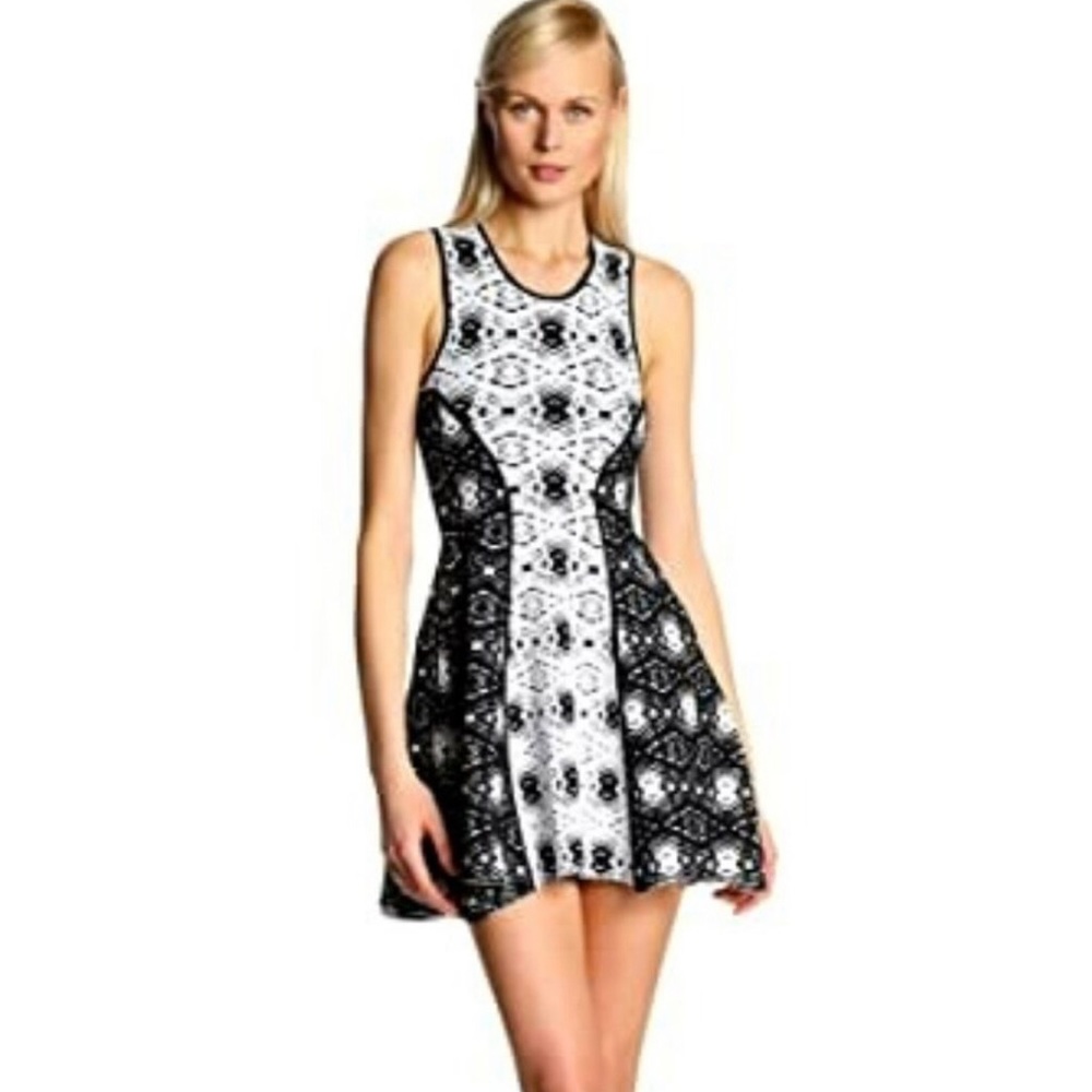 NEW NWT Parker Naima Jacquard Dress Knit